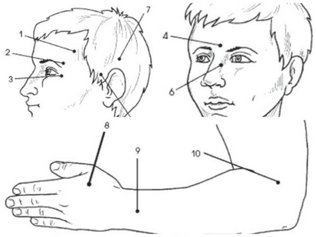 tochechnyj-massazh-pri-golovnoj-boli-i-migreni-tochki-na-golove-i-rukah-shema