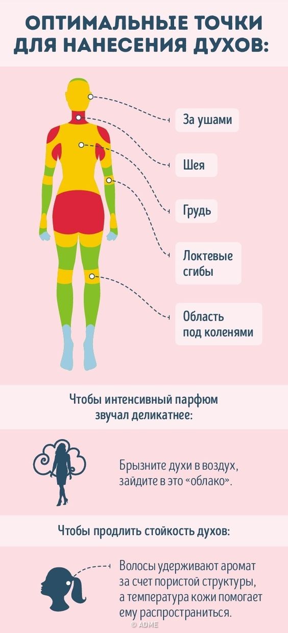 infografika-optimalnye-tochki-dlya-naneseniya-duhov-tablitsa