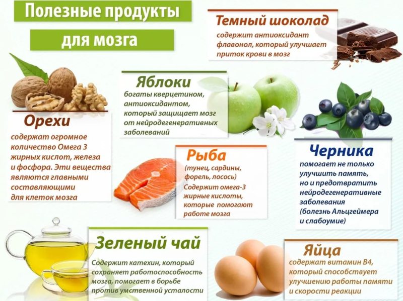 infografika-poleznye-produkty-dlya-golovy-i-mozga