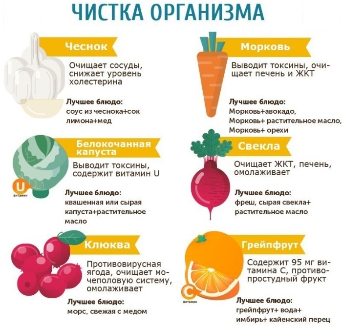 infografika-poleznye-zametki-i-sovety-v-infografike-produkty-katorye-ochishhayut-organizm