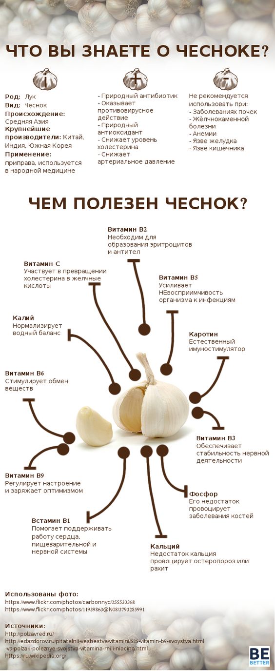 infografika-vse-o-chesnoke-chem-polezen-chesnok-svojstva-i-funktsii